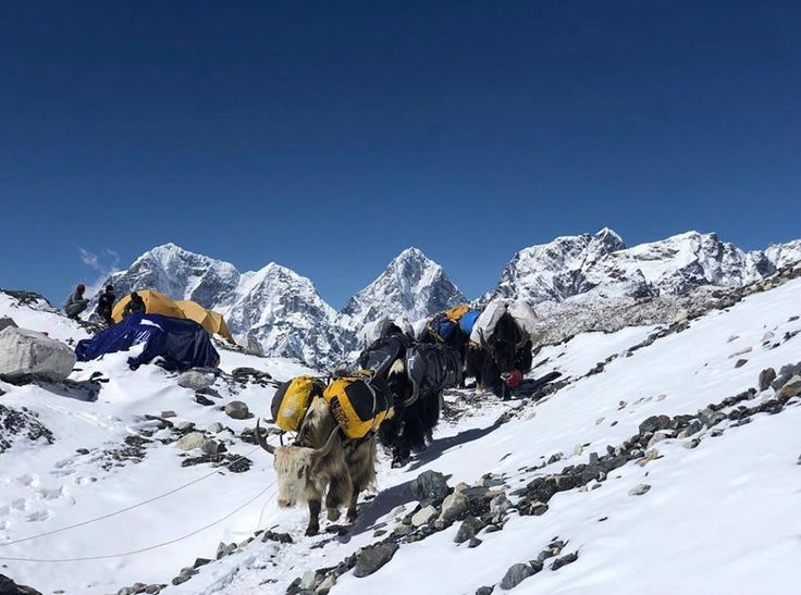 Baruntse Expedition image 3