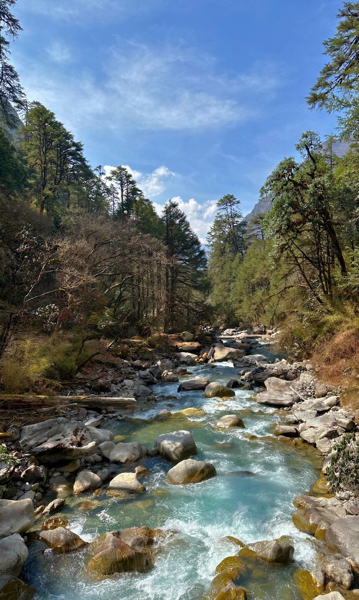 Langtang Trek Gallery 3