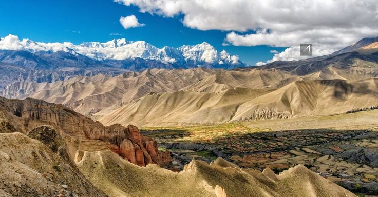 Manag Mustang Trek Gallery 3