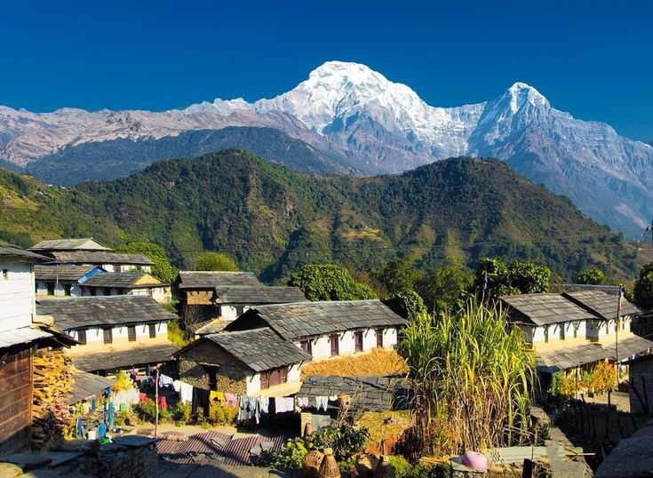 Ghorepani Poon Hill Trek Gallery 3
