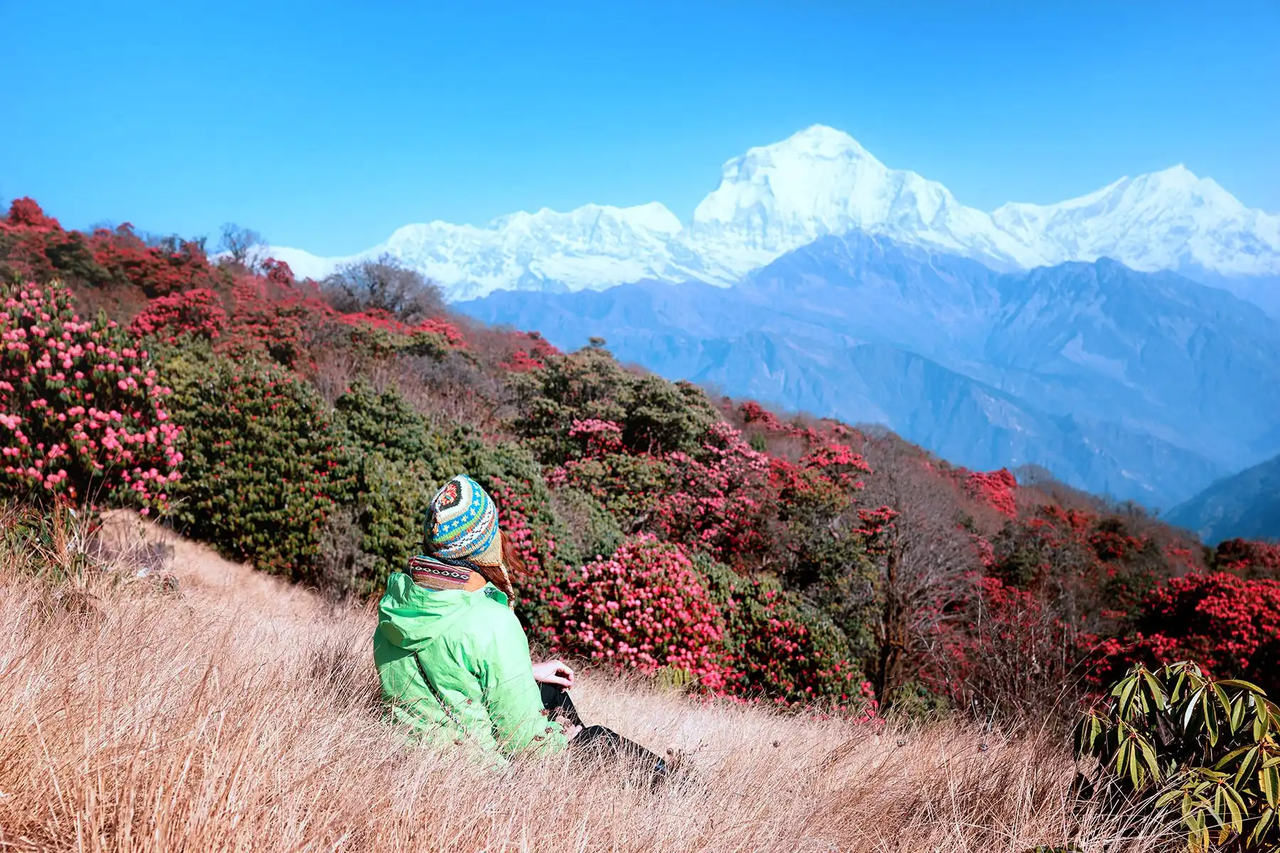 Ghorepani Poon Hill Trek