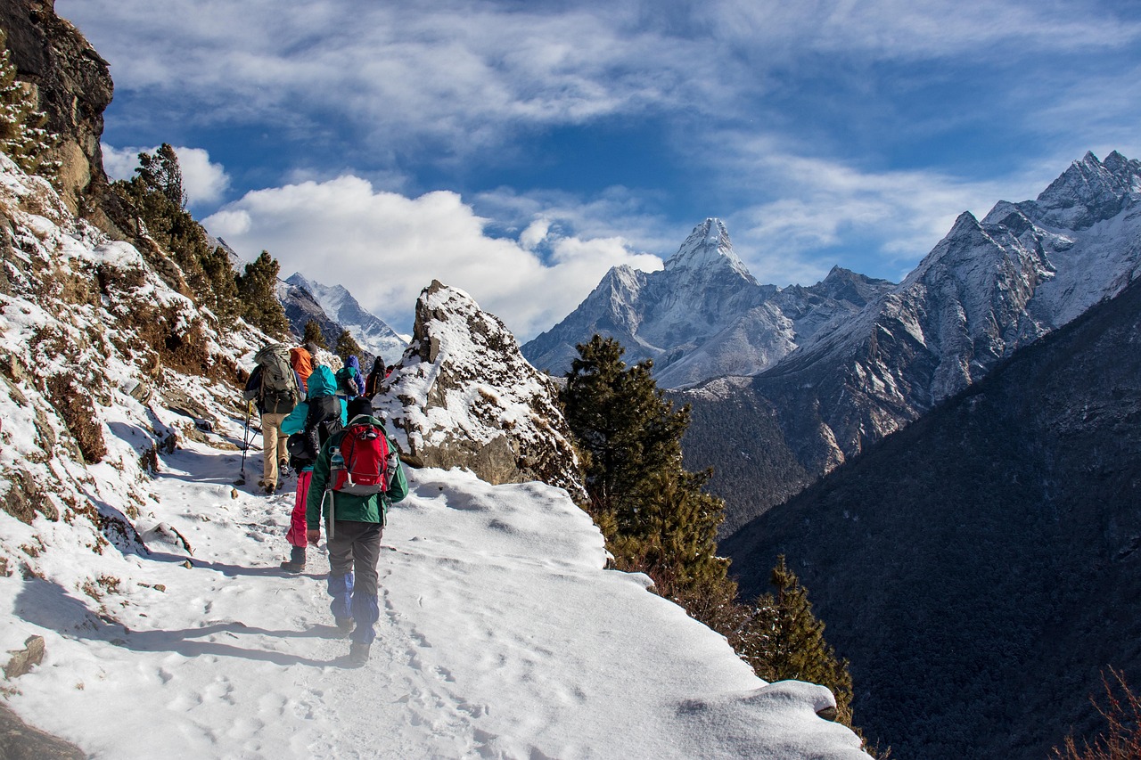 Himalayas panorama