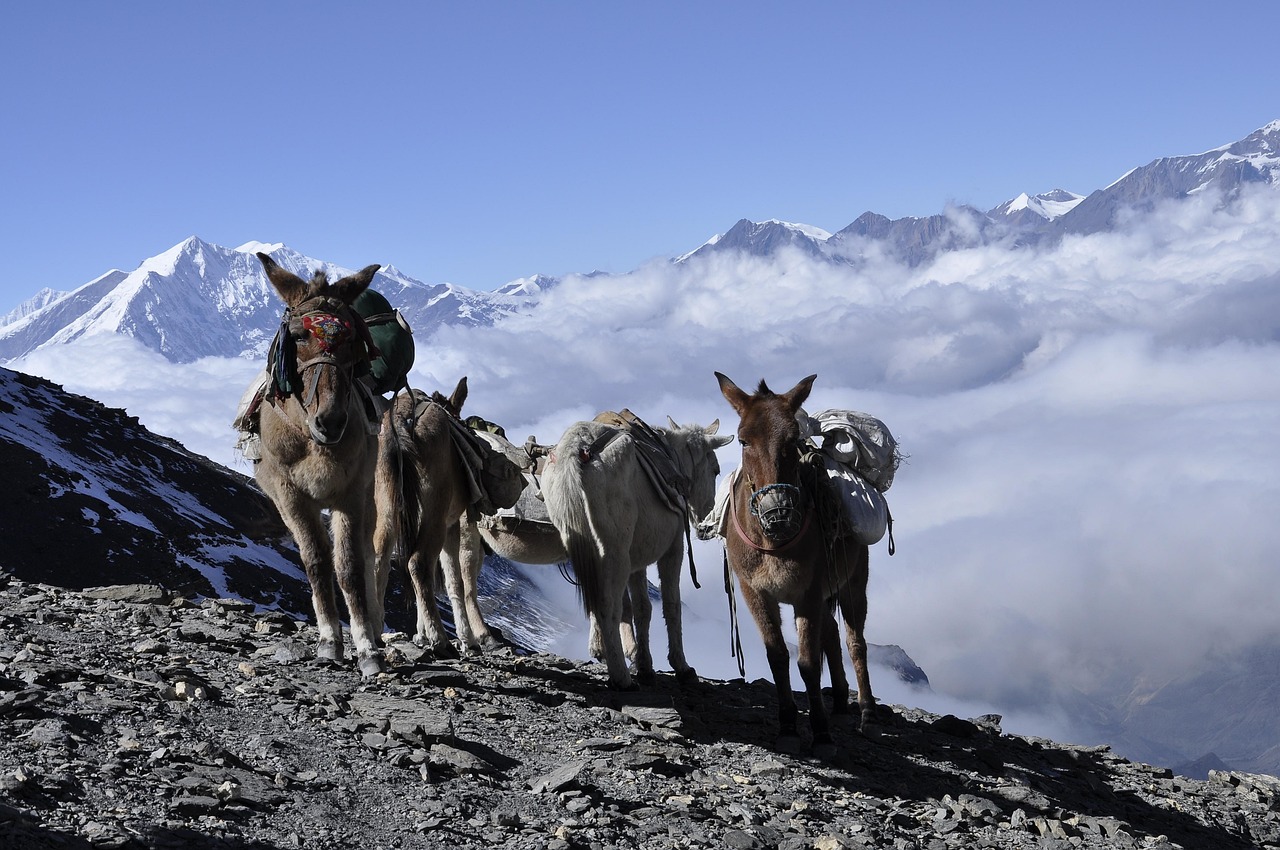 High altitude trail